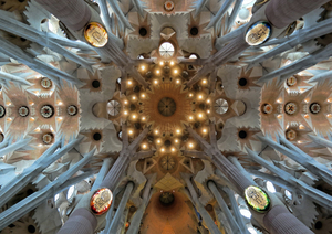 Organic Forms of Sagrada Familia